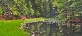 Eine herrliche Wanderung zum Sulfner Weiher in Halfling Eine herrliche Wanderung zum Sulfner Weiher in Halfling
