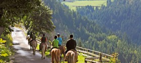 Ein Urlaub am Reiterhof Sulfner inklusive Ausritt mit den Haflinger Pferden